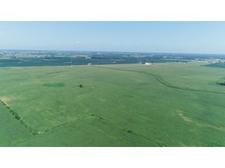 Farmland in Benton & Boone Counties, Indiana - LAND AUCTION - 118.5+/- ACRES IN 3 TRACTS IN BENTON & BOONE COUNTIES, INDIANA